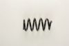 DACIA 6001550900 Coil Spring